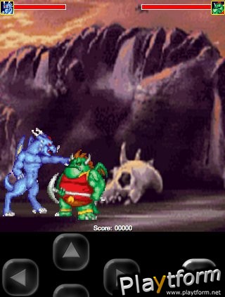 Dragon Fury (iPhone/iPod)