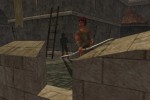 Darkfall Online (PC)