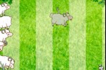 Sheep Reaction Test (iPhone/iPod)