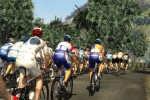 Pro Cycling Manager/Tour de France 2009 (PC)