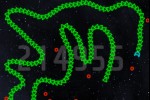 Space Snake (iPhone/iPod)