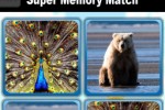 Super Memory Match (iPhone/iPod)