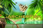 iArcherfish (iPhone/iPod)