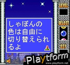 Milion's Star Paradise (DS)