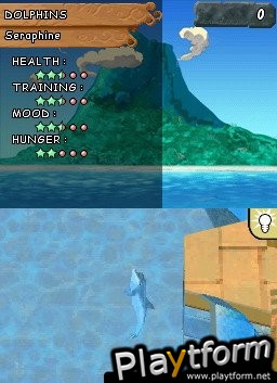 Animalz Marine Zoo (DS)