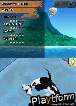 Animalz Marine Zoo (DS)