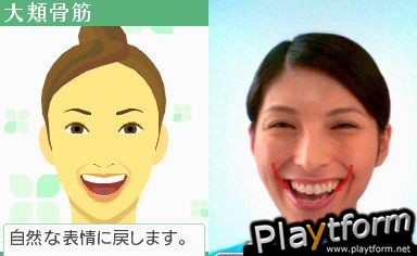 Face Training (DS)