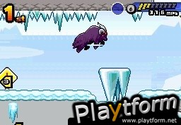 Monster Racers (DS)