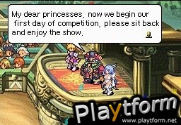 Princess and Knight (DS)