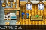 Dragon Quest VI: Realms of Reverie (DS)