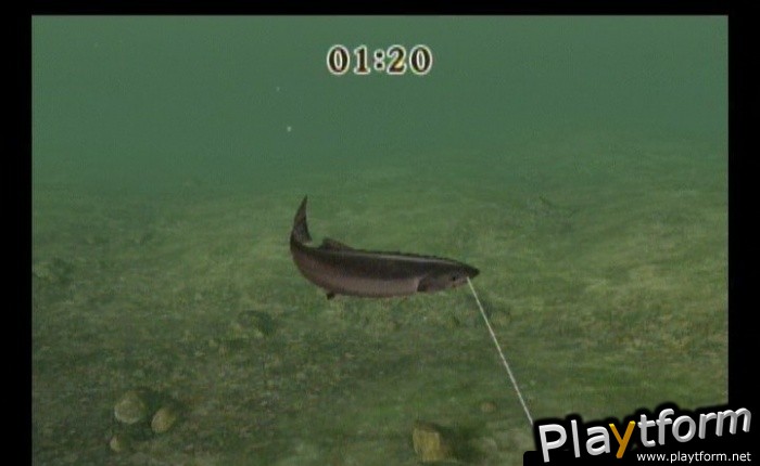 Reel Fishing Challenge (Wii)