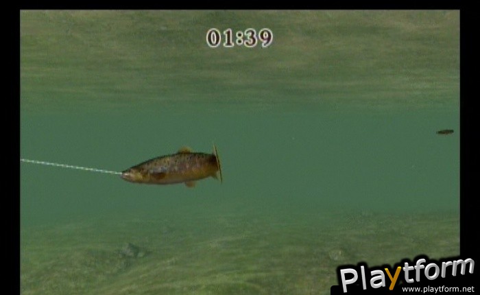 Reel Fishing Challenge (Wii)