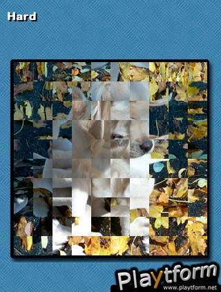 PictureFlip (iPhone/iPod)