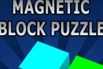 Magnetic Block Puzzle (iPhone/iPod)