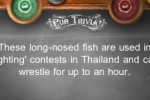 Pub Trivia (iPhone/iPod)