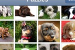 Puppy Jigsaw Puzzle (iPhone/iPod)