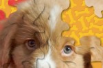 Puppy Jigsaw Puzzle (iPhone/iPod)