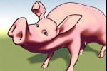 Piggy- The Pig Alarm Clock (iPhone/iPod)