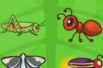 Toddler Teasers Bugs (iPhone/iPod)