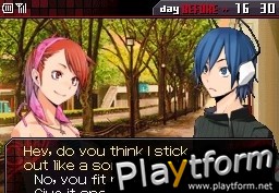 Shin Megami Tensei: Devil Survivor (DS)