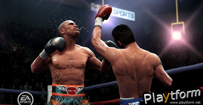 Fight Night Round 4 (PlayStation 3)