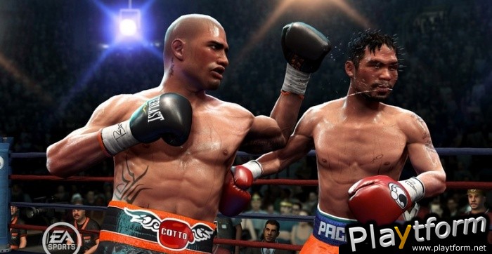 Fight Night Round 4 (PlayStation 3)