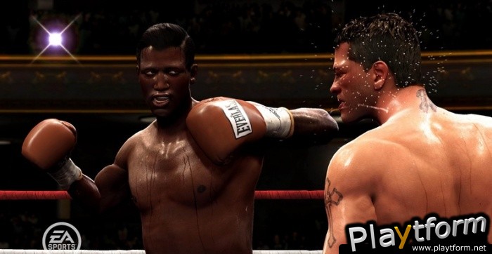 Fight Night Round 4 (PlayStation 3)