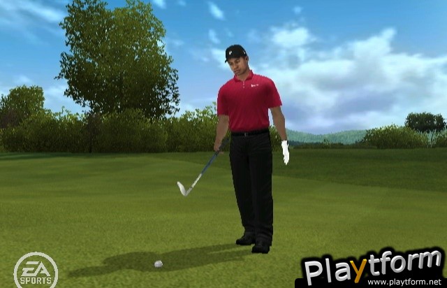 Tiger Woods PGA Tour 10 (Wii)