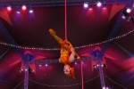 Go Play Circus Star (Wii)