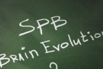 Spb Brain Evolution (iPhone/iPod)