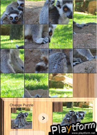 Puzzlez Safari (iPhone/iPod)