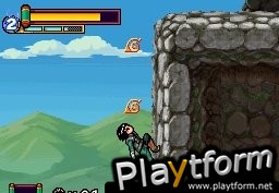 Naruto Shippuden: Ninja Council 4 (DS)