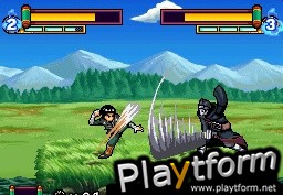 Naruto Shippuden: Ninja Council 4 (DS)