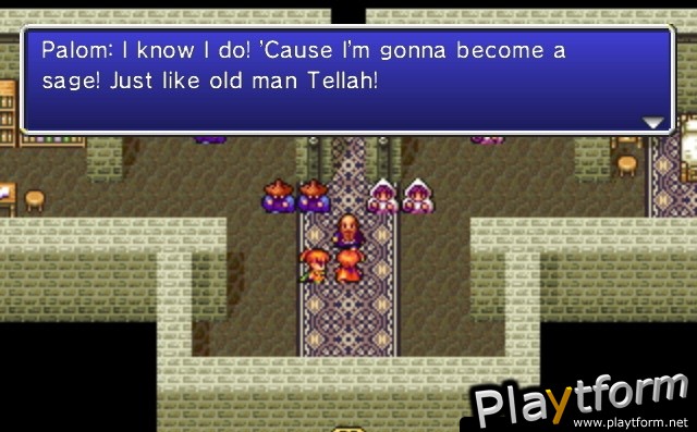 Final Fantasy IV: The After Years (Wii)