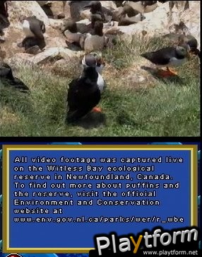 Puffins: Island Adventure (DS)