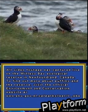 Puffins: Island Adventure (DS)