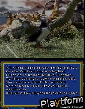 Puffins: Island Adventure (DS)