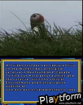 Puffins: Island Adventure (DS)