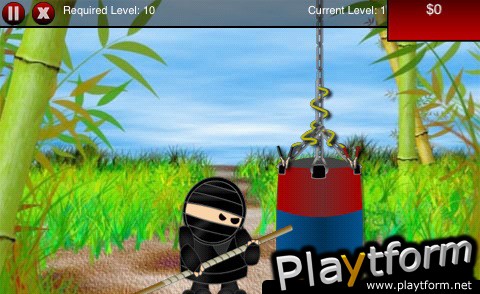 I AM NINJA! (iPhone/iPod)