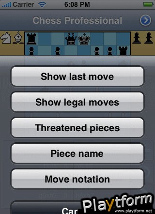 Chess Professional (iPhone/iPod)