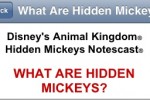 Disney's Animal Kingdom Hidden Mickeys Notescast (iPhone/iPod)