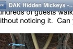 Disney's Animal Kingdom Hidden Mickeys Notescast (iPhone/iPod)