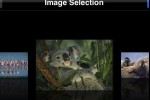 Jigsaw: Animals (iPhone/iPod)