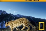 Spot It!: Animals (iPhone/iPod)