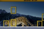 Spot It!: Animals (iPhone/iPod)