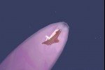 Space Shuttle (iPhone/iPod)