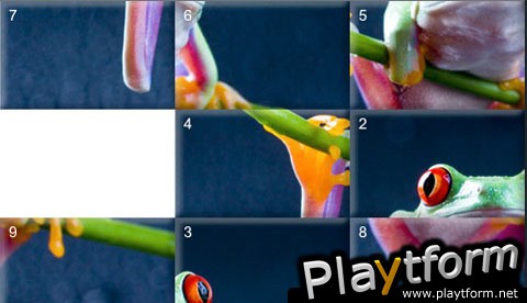 Picture Puzzler (iPhone/iPod)