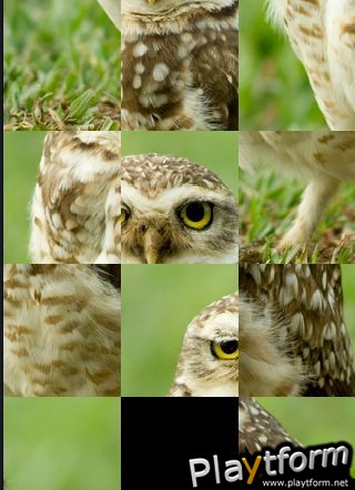 SlidePuzzle - Owl (iPhone/iPod)