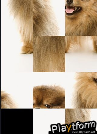 SlidePuzzle - Pomeranian (iPhone/iPod)