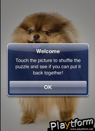 SlidePuzzle - Pomeranian (iPhone/iPod)